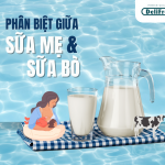 Phân biệt giữa sữa mẹ và sữa bò