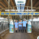Tiêu chuẩn 5 không