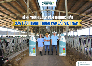 Tiêu chuẩn 5 không